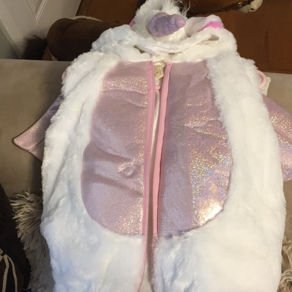 Alicorn/Unicorn Costume!